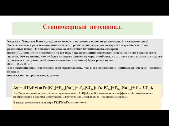 Стационарный потенциал. Ходжкин, Хаксли и Катц исходили из того, что потенциал покоя