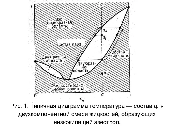 Рис. 1. Типичная диаграмма температура — состав для двухкомпонентной смеси жидкостей, образующих низкокипящий азеотроп.