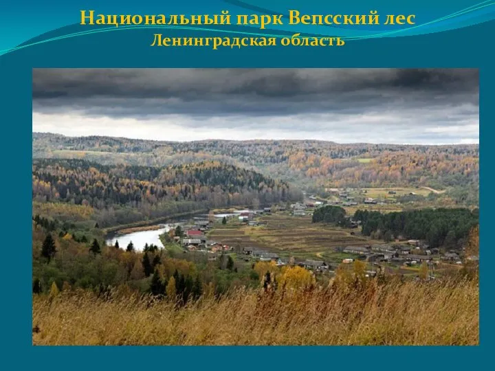 Национальный парк Вепсский лес Ленинградская область
