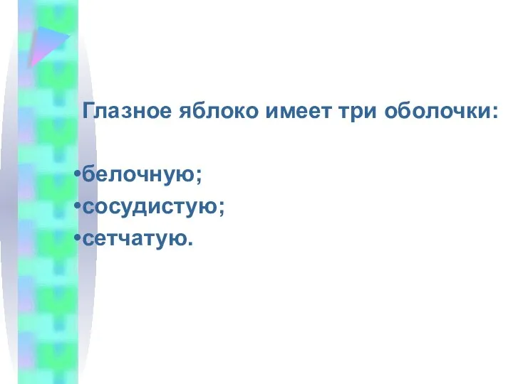 Глазное яблоко имеет три оболочки: белочную; сосудистую; сетчатую.