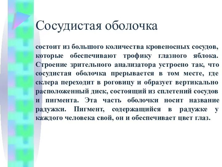 Сосудистая оболочка состоит из большого количества кровеносных сосудов, которые обеспечивают трофику глазного