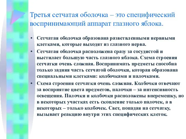 Третья сетчатая оболочка – это специфический воспринимающий аппарат глазного яблока. Сетчатая оболочка