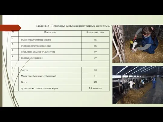 Таблица 2 - Поголовье сельскохозяйственных животных, голов на 2020г.