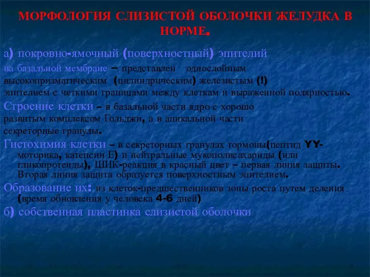 МОРФОЛОГИЯ СЛИЗИСТОЙ ОБОЛОЧКИ ЖЕЛУДКА В НОРМЕ. а) покровно-ямочный (поверхностный) эпителий на базальной