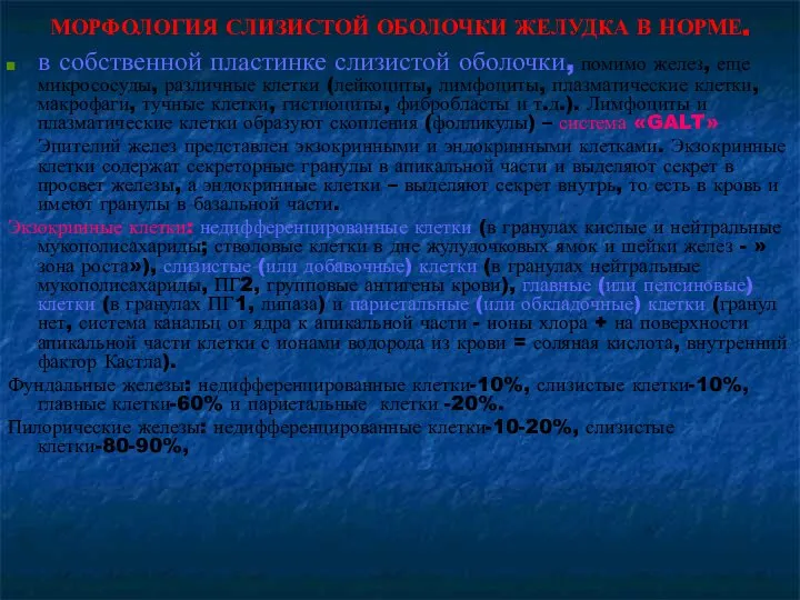 МОРФОЛОГИЯ СЛИЗИСТОЙ ОБОЛОЧКИ ЖЕЛУДКА В НОРМЕ. в собственной пластинке слизистой оболочки, помимо