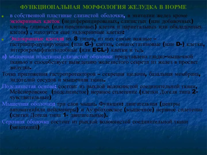 ФУНКЦИОНАЛЬНАЯ МОРФОЛОГИЯ ЖЕЛУДКА В НОРМЕ в собственной пластинке слизистой оболочки, в эпителии