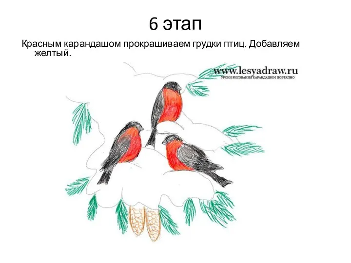 6 этап Красным карандашом прокрашиваем грудки птиц. Добавляем желтый.