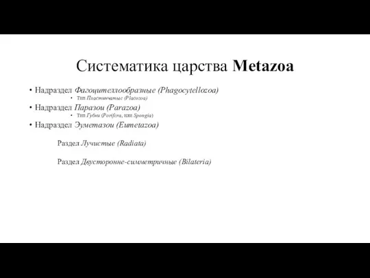 Систематика царства Metazoa Надраздел Фагоцителлообразные (Phagocytellozoa) Тип Пластинчатые (Placozoa) Надраздел Паразои (Parazoa)