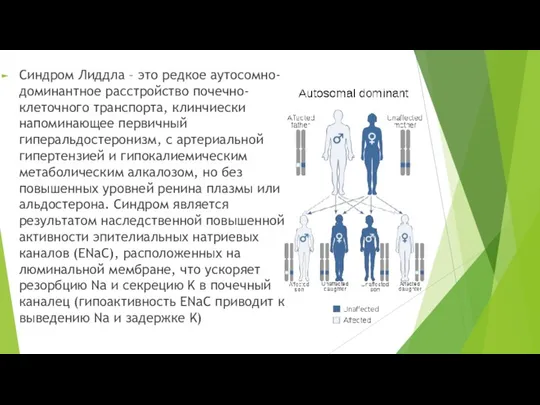 Синдром Лиддла – это редкое аутосомно-доминантное расстройство почечно-клеточного транспорта, клинчиески напоминающее первичный