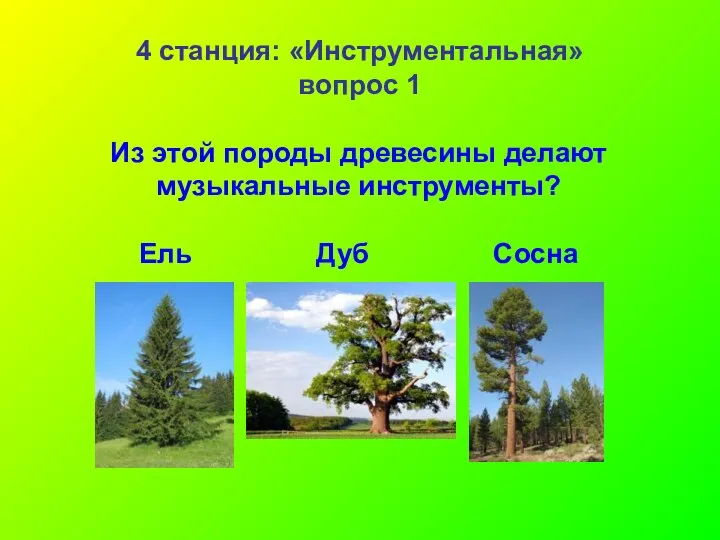 4 станция: «Инструментальная» вопрос 1 Из этой породы древесины делают музыкальные инструменты? Ель Дуб Сосна