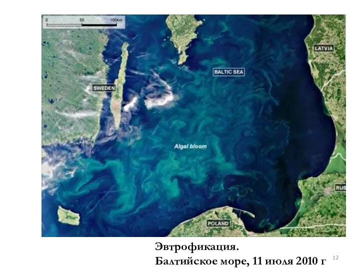 Эвтрофикация. Балтийское море, 11 июля 2010 г