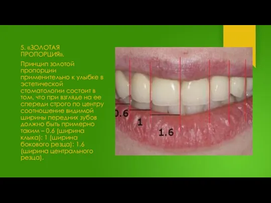 5. «ЗОЛОТАЯ ПРОПОРЦИЯ». Принцип золотой пропорции применительно к улыбке в эстетической стоматологии
