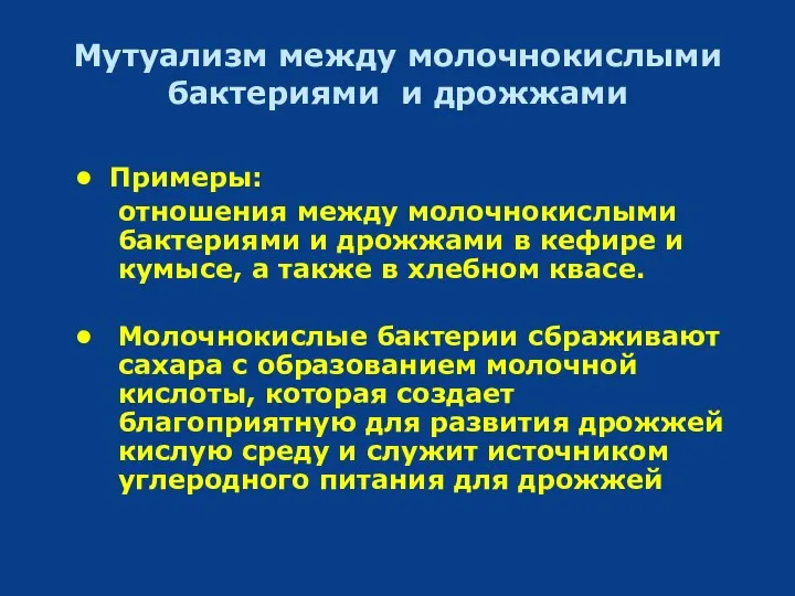 Мутуализм между молочнокислыми бактериями и дрожжами Примеры: отношения между молочнокислыми бактериями и