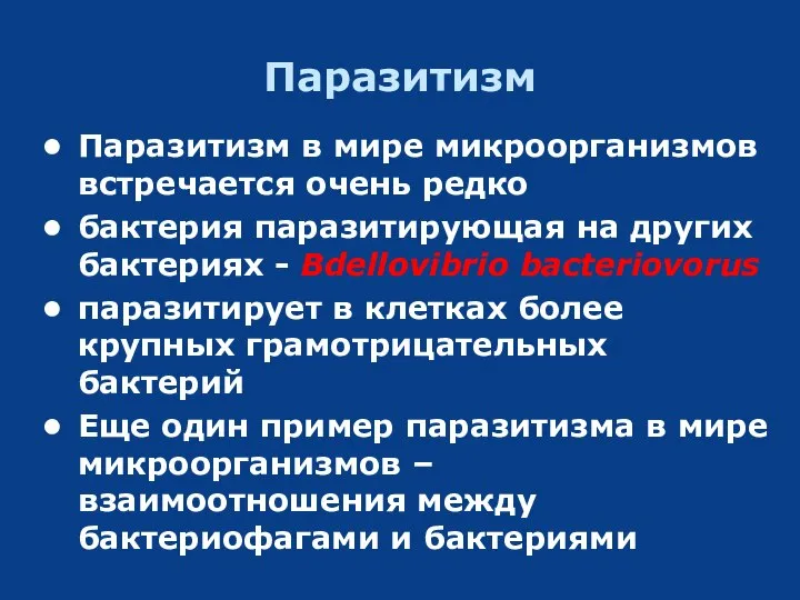 Паразитизм Паразитизм в мире микроорганизмов встречается очень редко бактерия паразитирующая на других