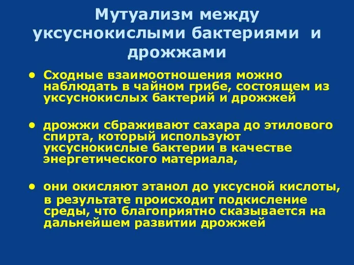 Мутуализм между уксуснокислыми бактериями и дрожжами Сходные взаимоотношения можно наблюдать в чайном