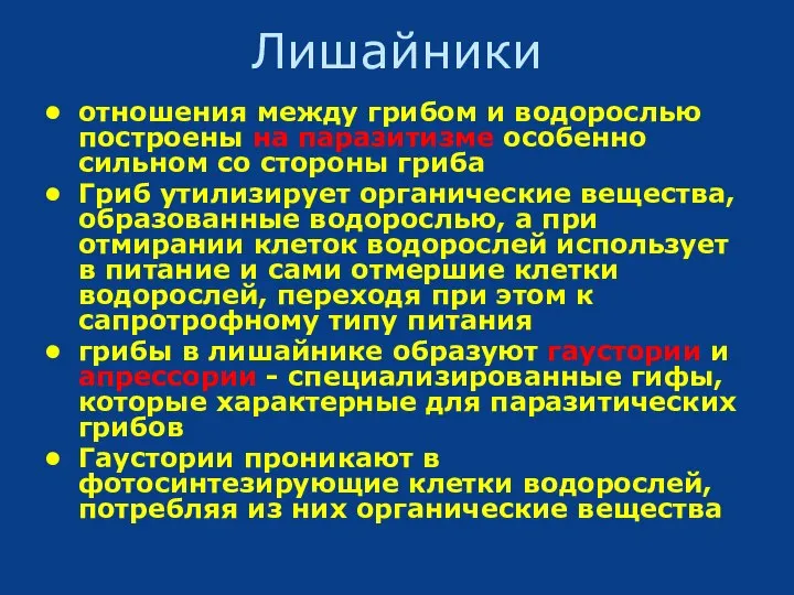 Лишайники отношения между грибом и водорослью построены на паразитизме особенно сильном со