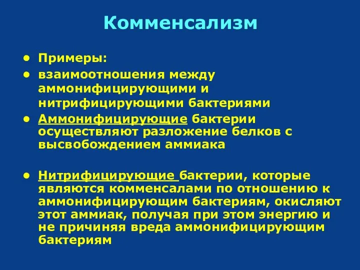 Комменсализм Примеры: взаимоотношения между аммонифицирующими и нитрифицирующими бактериями Аммонифицирующие бактерии осуществляют разложение