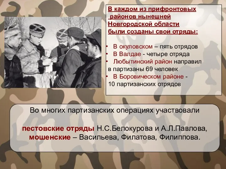 В каждом из прифронтовых районов нынешней Новгородской области были созданы свои отряды: