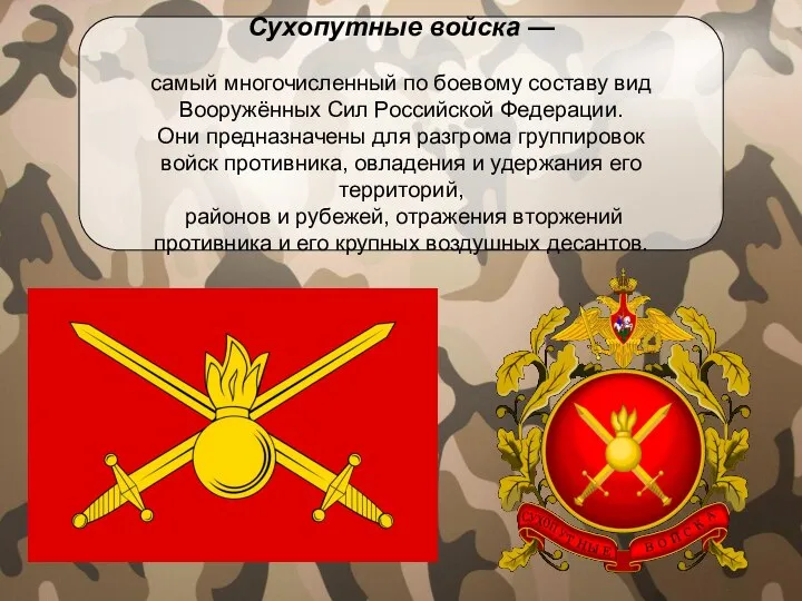 Сухопутные войска — самый многочисленный по боевому составу вид Вооружённых Сил Российской
