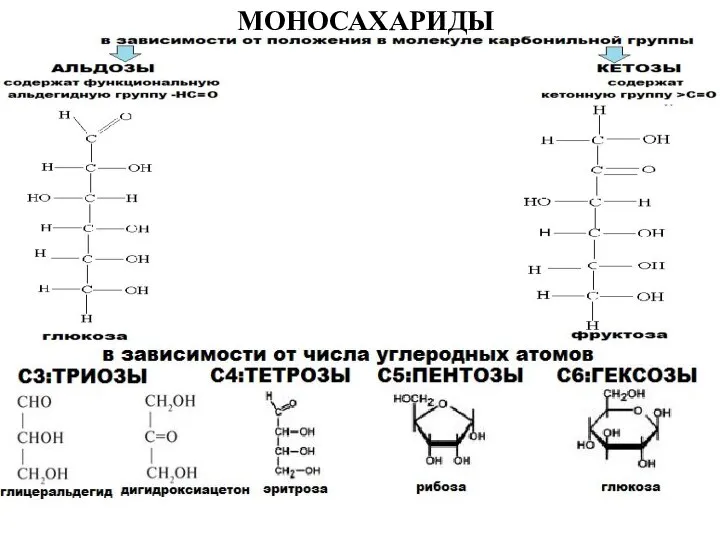 МОНОСАХАРИДЫ