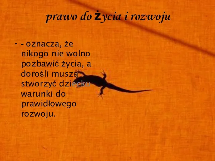 prawo do życia i rozwoju - oznacza, że nikogo nie wolno pozbawić