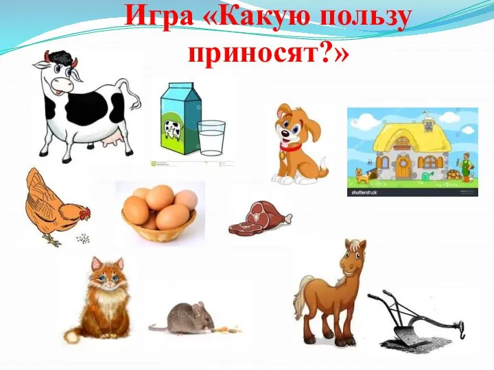 Игра «Какую пользу приносят?»