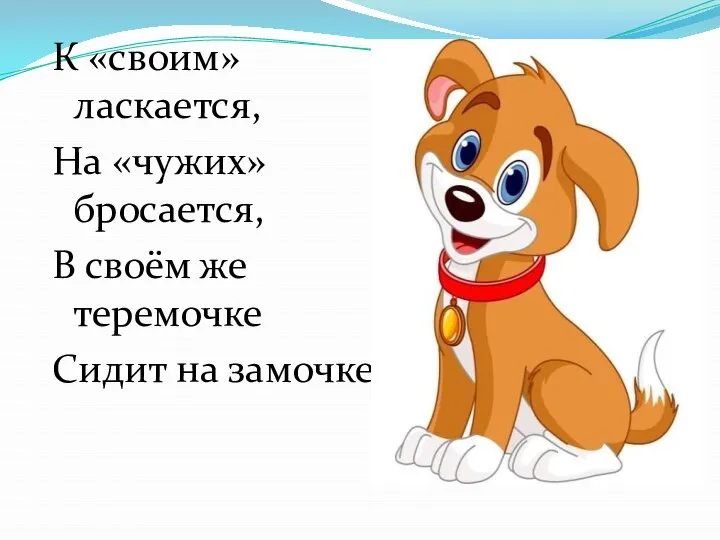 К «своим» ласкается, На «чужих» бросается, В своём же теремочке Сидит на замочке.