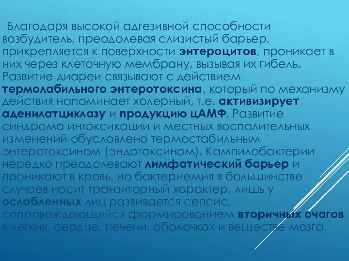 Благодаря высокой адгезивной способности возбудитель, преодолевая слизистый барьер, прикрепляется к поверхности энтероцитов,