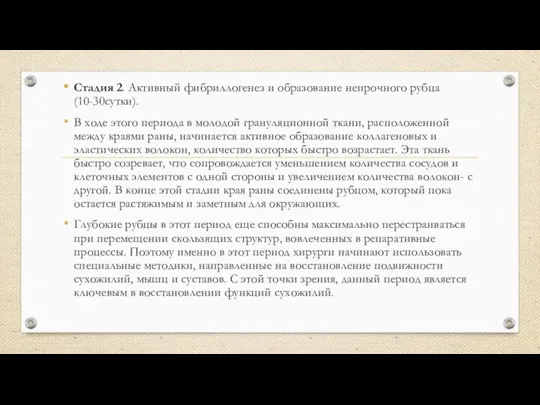 Стадия 2. Активный фибриллогенез и образование непрочного рубца (10-30сутки). В ходе этого