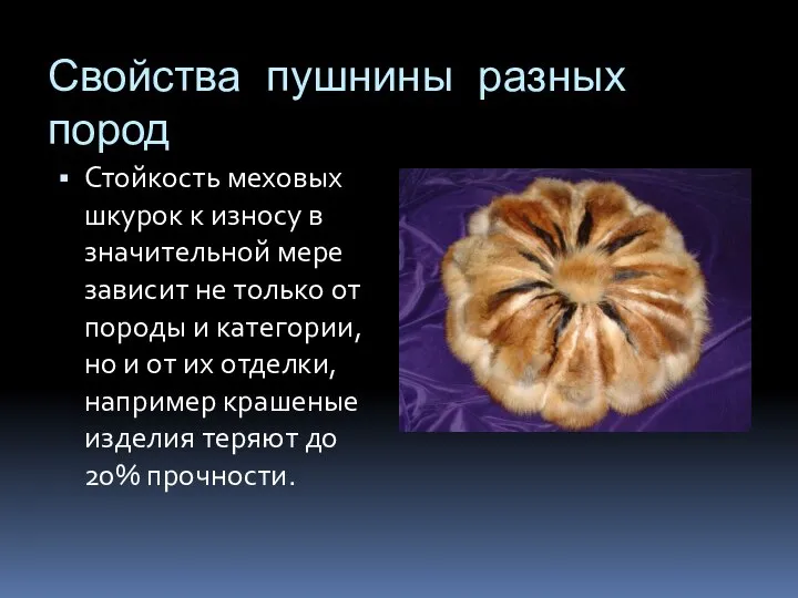 Свойства пушнины разных пород Стойкость меховых шкурок к износу в значительной мере