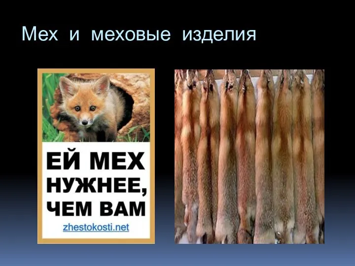 Мех и меховые изделия