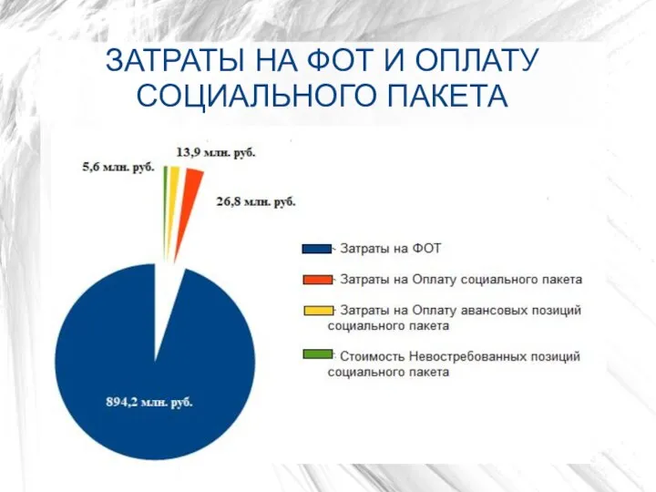 ЗАТРАТЫ НА ФОТ И ОПЛАТУ СОЦИАЛЬНОГО ПАКЕТА