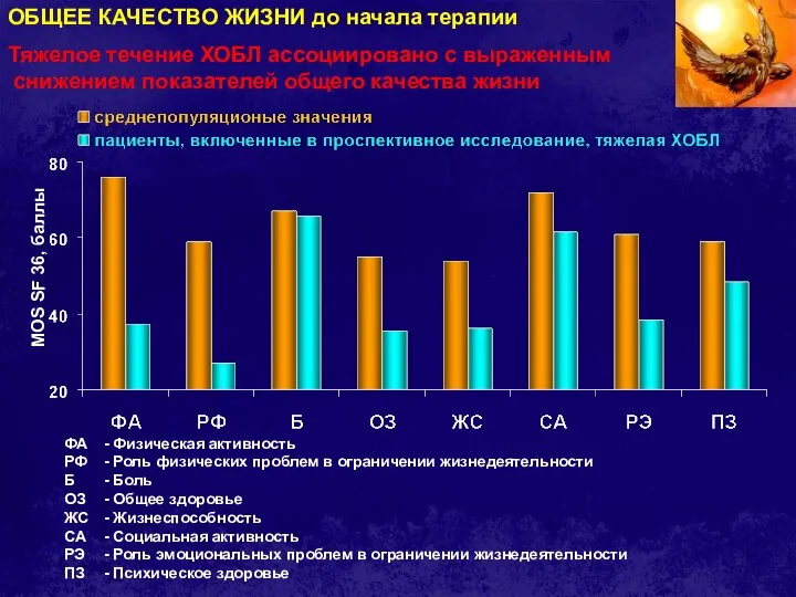 ФА - Физическая активность РФ - Роль физических проблем в ограничении жизнедеятельности