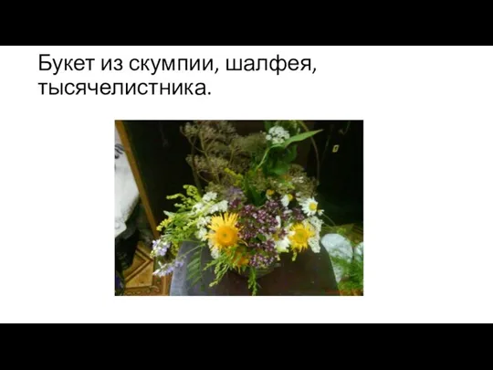 Букет из скумпии, шалфея, тысячелистника.