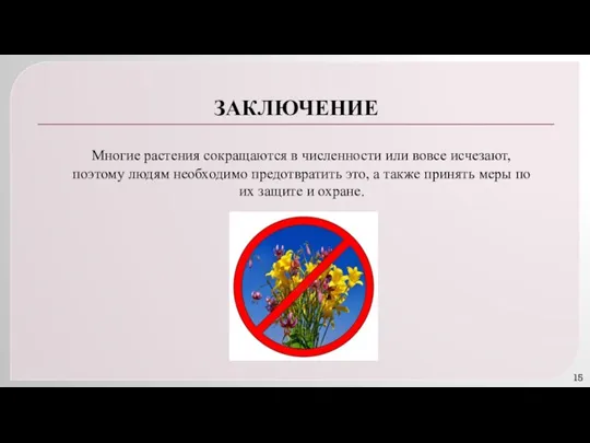 ЗАКЛЮЧЕНИЕ Многие растения сокращаются в численности или вовсе исчезают, поэтому людям необходимо