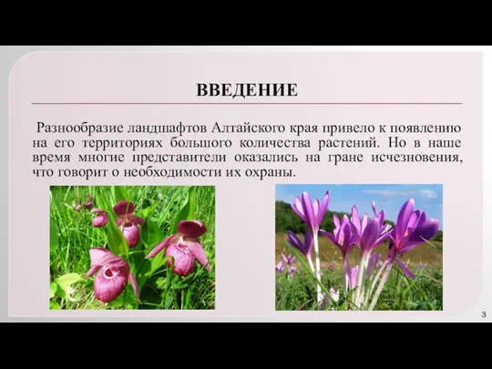 ВВЕДЕНИЕ Разнообразие ландшафтов Алтайского края привело к появлению на его территориях большого