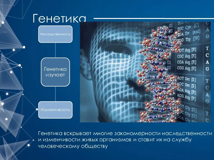 Генетика Генетика вскрывает многие закономерности наследственности и изменчивости живых организмов и ставит