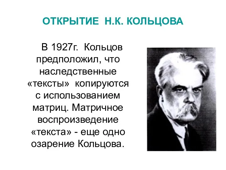 ОТКРЫТИЕ Н.К. КОЛЬЦОВА В 1927г. Кольцов предположил, что наследственные «тексты» копируются с