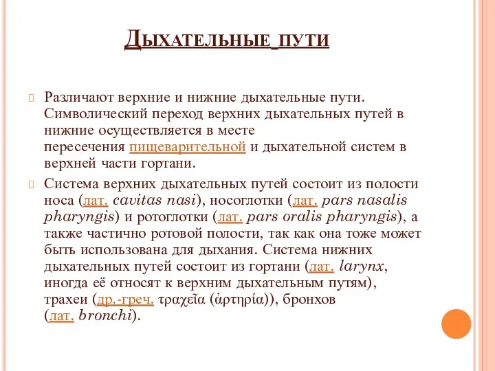 Дыхательные пути Различают верхние и нижние дыхательные пути. Символический переход верхних дыхательных