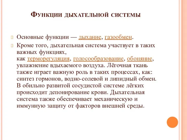 Функции дыхательной системы Основные функции — дыхание, газообмен. Кроме того, дыхательная система