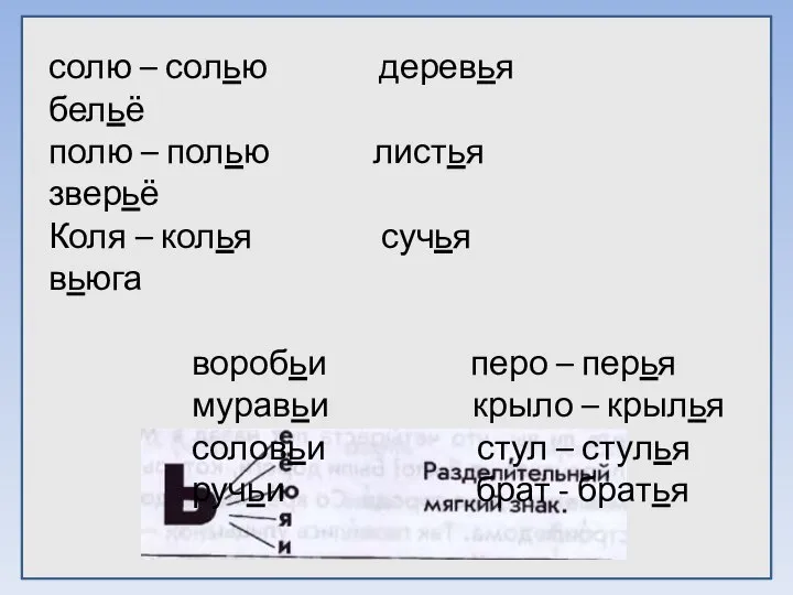 солю – солью деревья бельё полю – полью листья зверьё Коля –