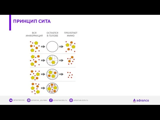 ВСЯ ИНФОРМАЦИЯ ОСТАЕТСЯ В ГОЛОВЕ ПРОЛЕТАЕТ МИМО ПРИНЦИП СИТА