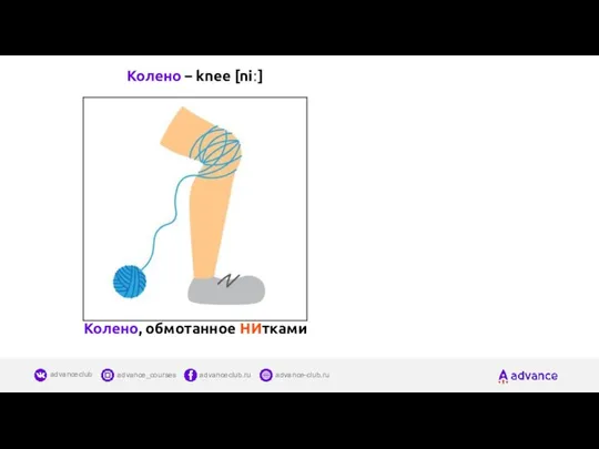 Колено – knee [niː] Колено, обмотанное НИтками