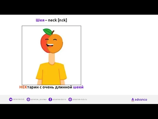 Шея – neck [nɛk] НЕКтарин с очень длинной шеей