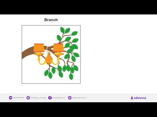 Branch