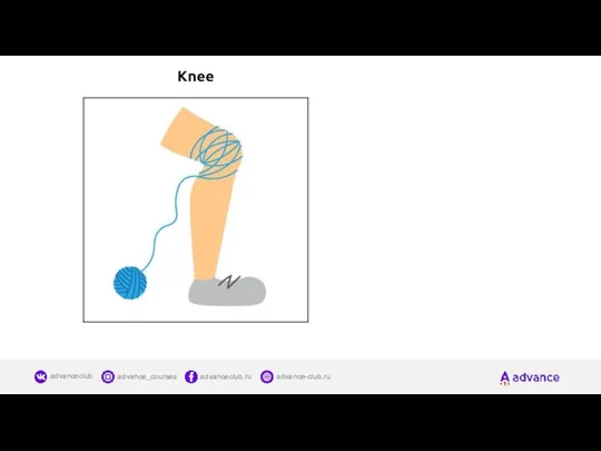 Knee