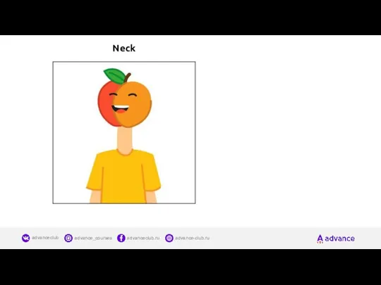 Neck