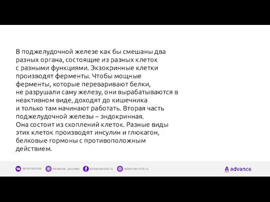 В поджелудочной железе как бы смешаны два разных органа, состоящие из разных