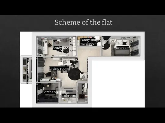 Scheme of the flat Living room Study Bedroom bathroom kitchen Pantry and wardrobe Hall Balcony