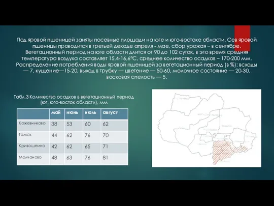 Под яровой пшеницей заняты посевные площади на юге и юго-востоке области. Сев